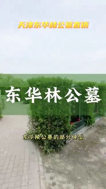 天津东华林公墓都有哪几种碑型?