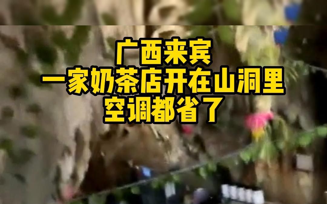 广西来宾一家奶茶店开在山洞里,空调都省了哔哩哔哩bilibili