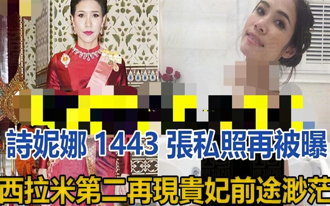 诗妮娜1443张私照再被曝,西拉米第二再现,35岁贵妃前途渺茫哔哩哔哩bilibili