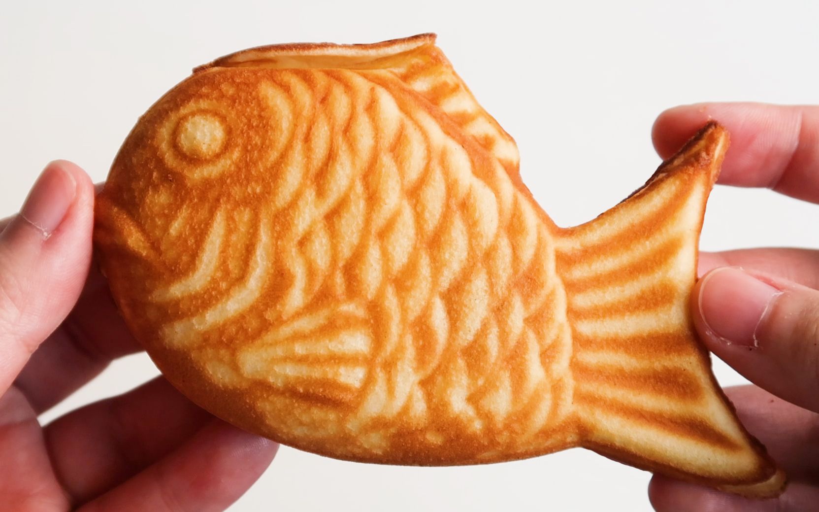 动物餐厅鲷鱼烧菜谱怎么涨价