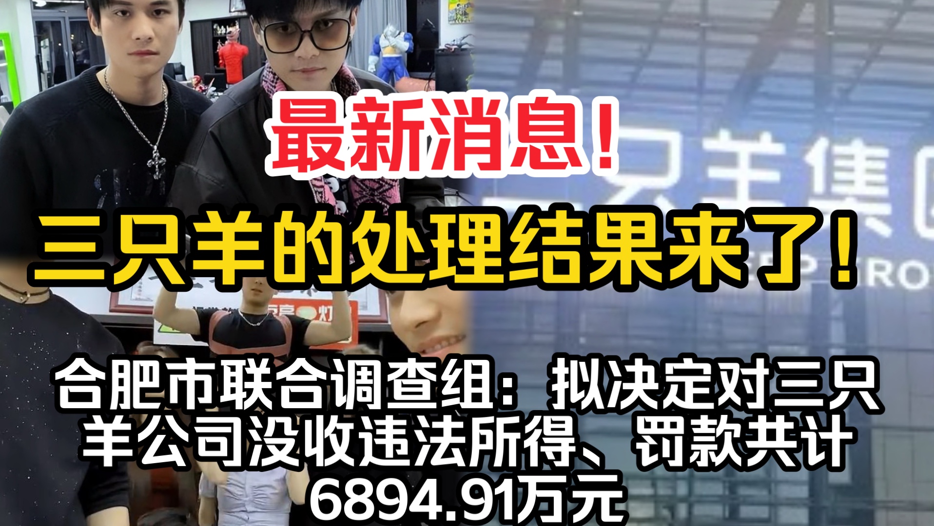 最新消息!官方对三只羊的调查处理来了!合肥市联合调查组:拟决定对三只羊公司没收违法所得、罚款共计6894.91万元哔哩哔哩bilibili