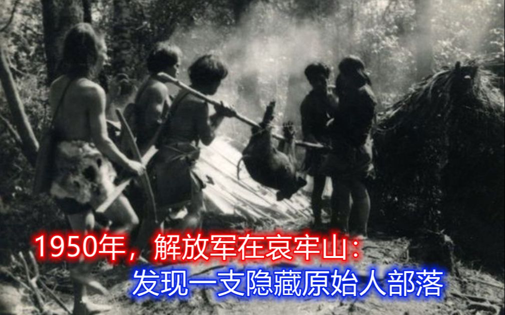 [图]1950年，解放军一支部队，在云南哀牢山深处：发现一支原始人部落