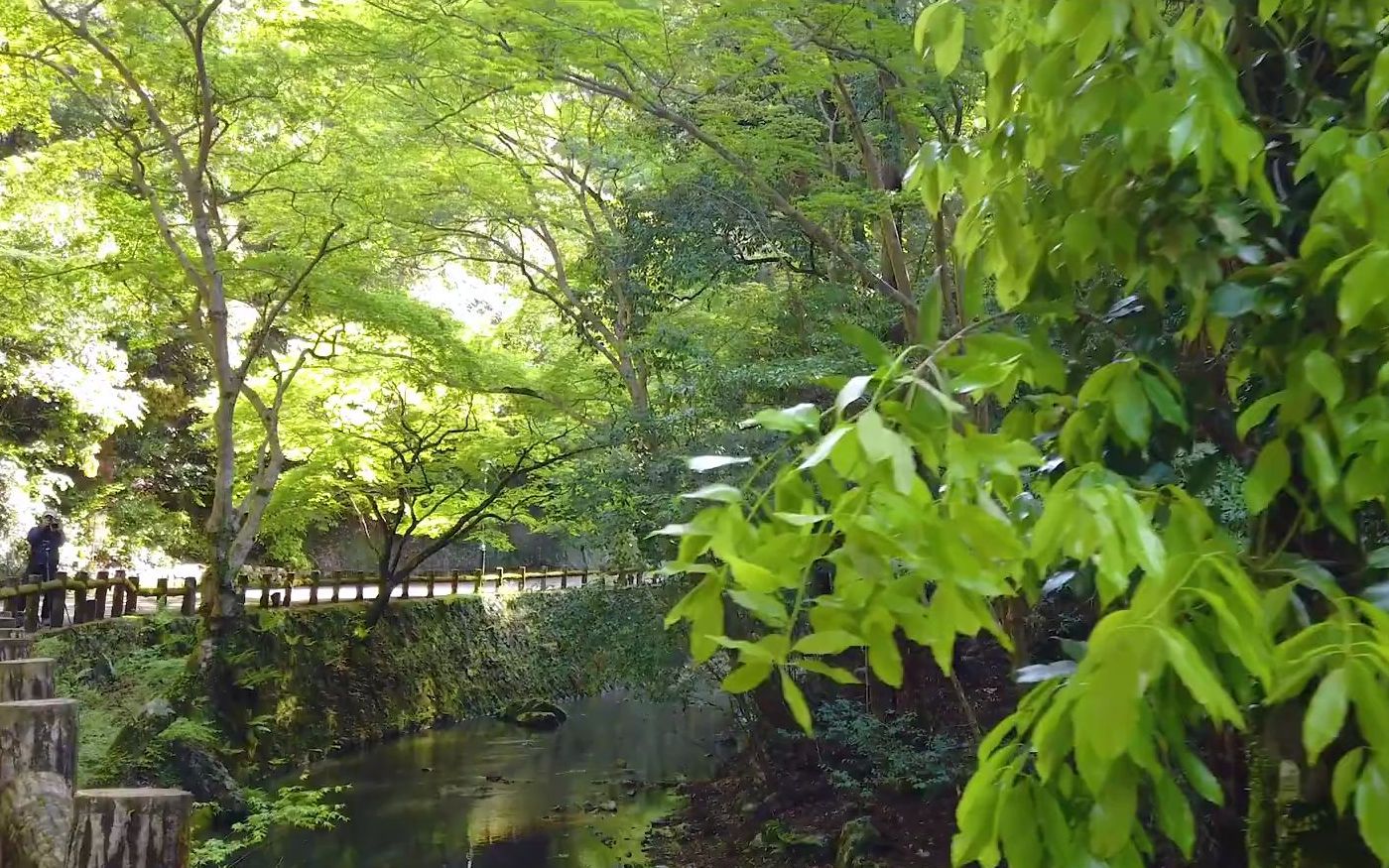 【大阪府】初夏的风景(箕面大滝)哔哩哔哩bilibili