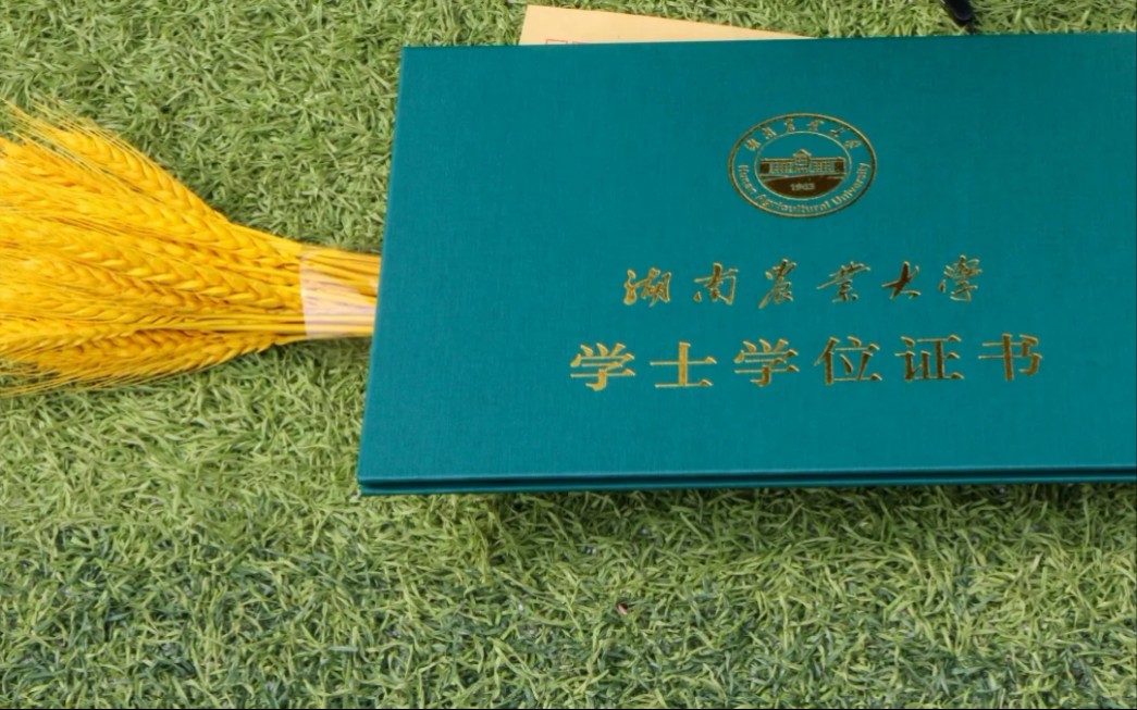 湖南农业大学补办毕业证 B站