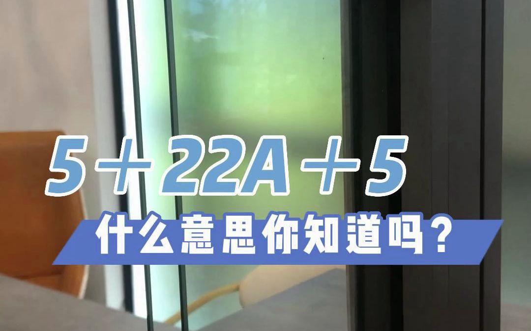 【门窗知识】5+22A+5什么样意思?哔哩哔哩bilibili