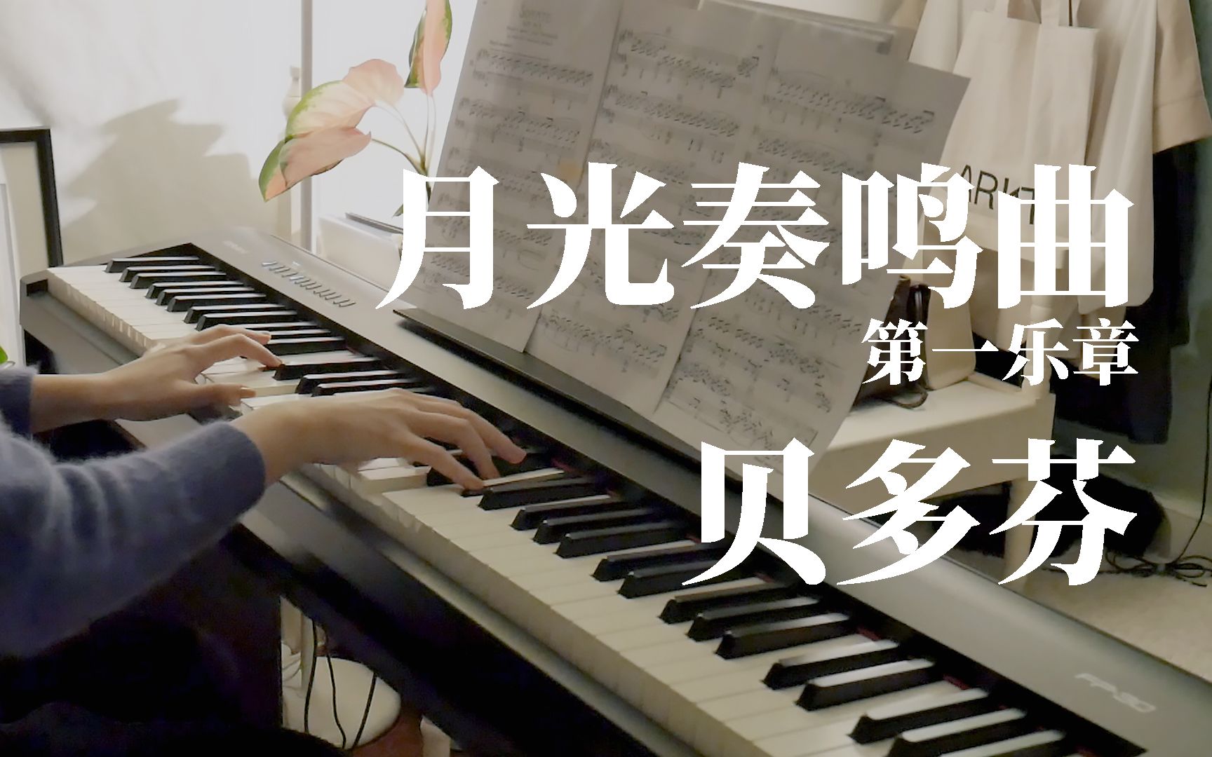 贝多芬 - 月光奏鸣曲 第一乐章 moonlight sonata, op. 27 no.