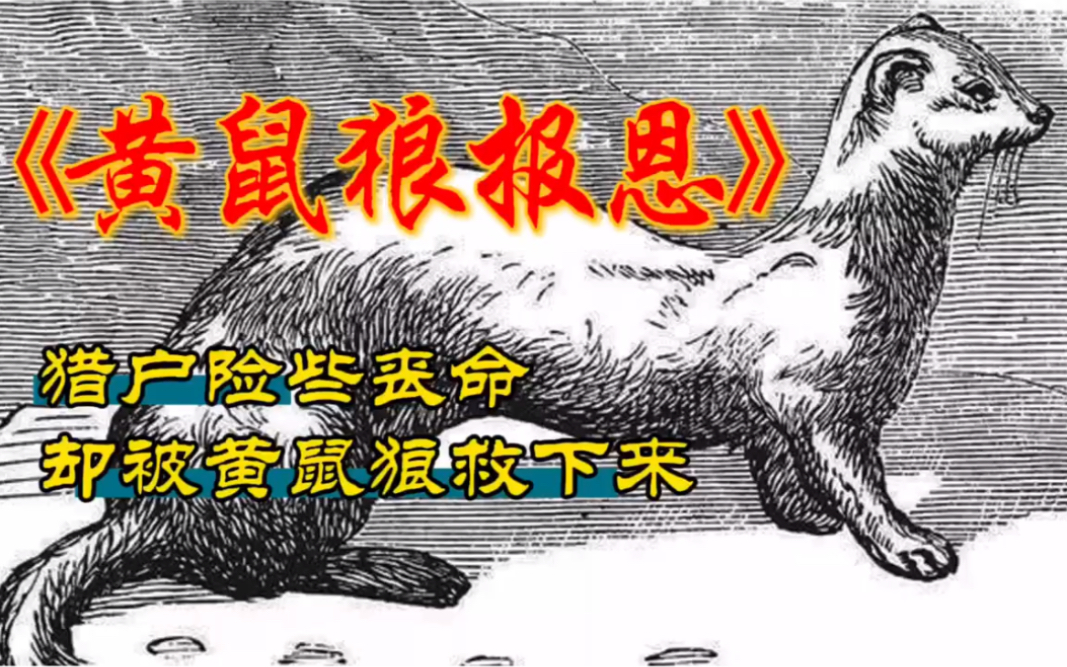 民间故事黄皮子报恩