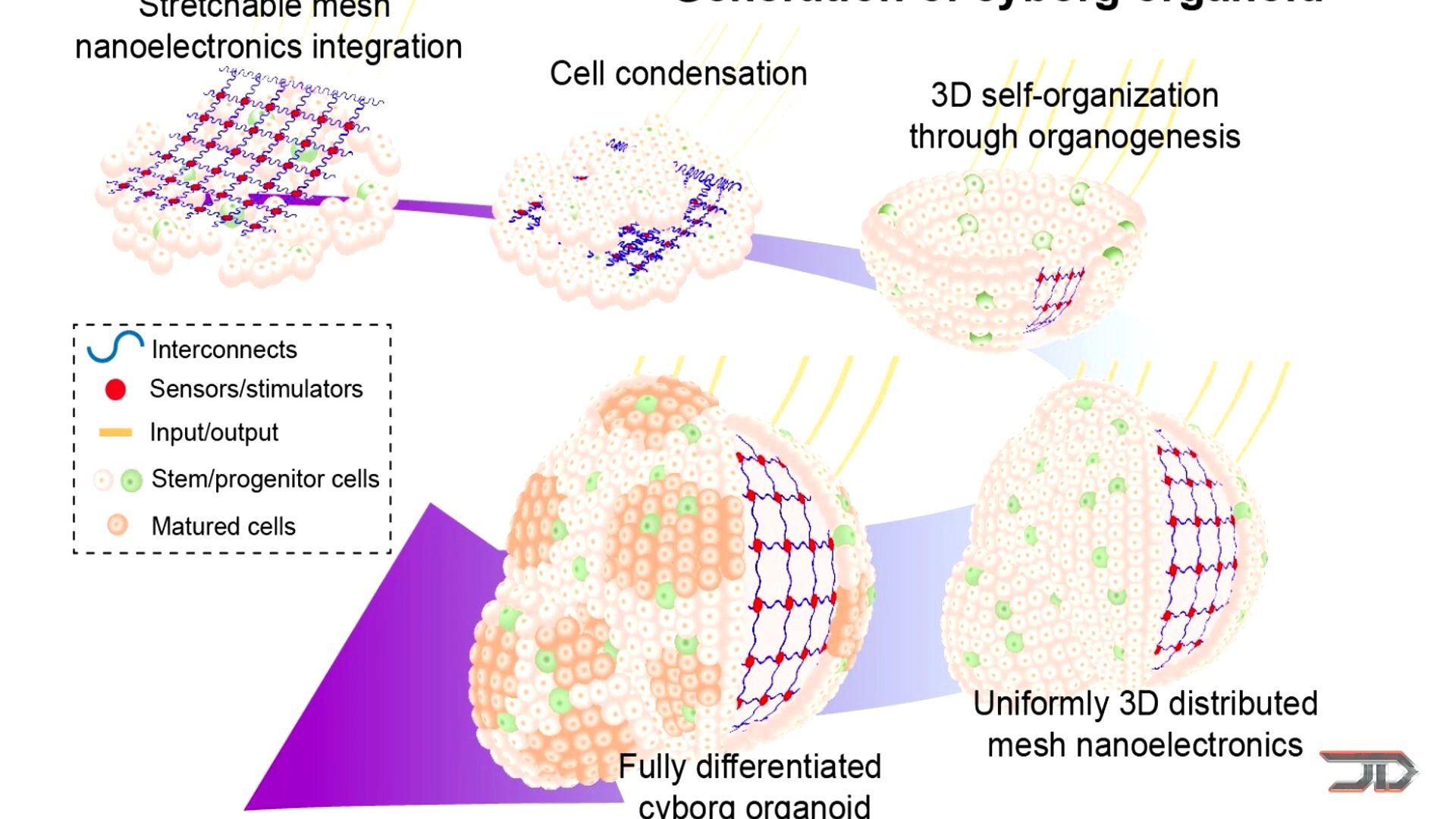 【 机器人技术:7大令人惊讶的纳米机器人突破 】7 CRAZY NanoRobot Breakthroughs !( 英文字幕 )哔哩哔哩bilibili