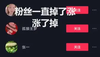 到底是什么让这位程序媛如此凉背后有什么不为人知的故事