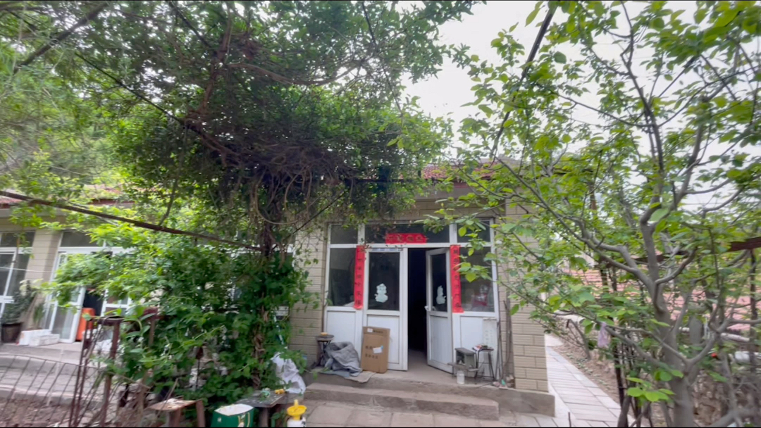 原生态农家小院,向往的农村生活,养鸡,养鸭,养狗,养羊