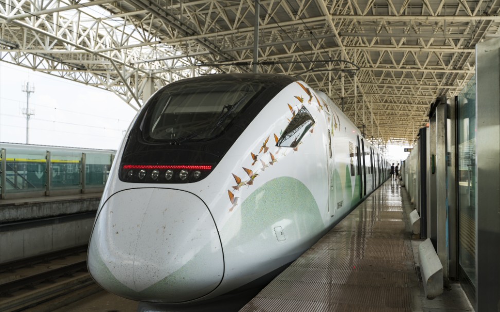 【海口市域动车】蜂虎鳥 crh6f-a 担当s8043次(海口-海口东) 秀英站