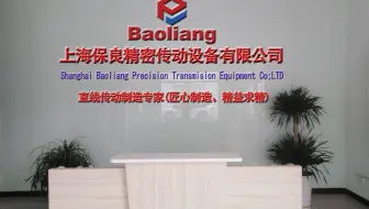 上海保良直线加旋转的滚珠花键副