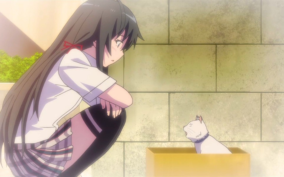 春物学猫叫的雪乃是最可爱的时候