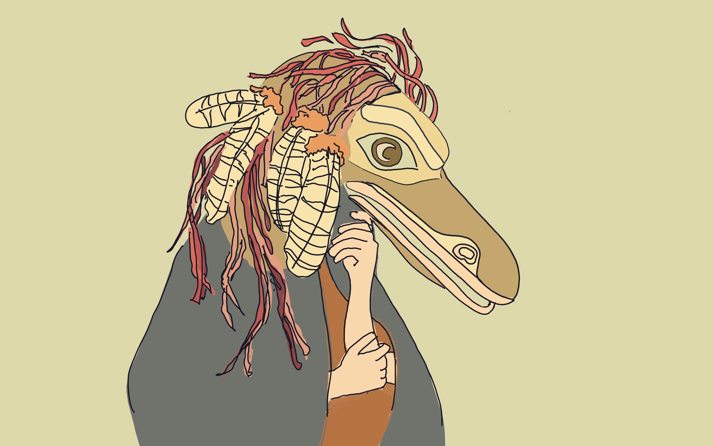 【procreate & roughanimator】让我们画一个乌鸦和水鸟拟人小动画吧