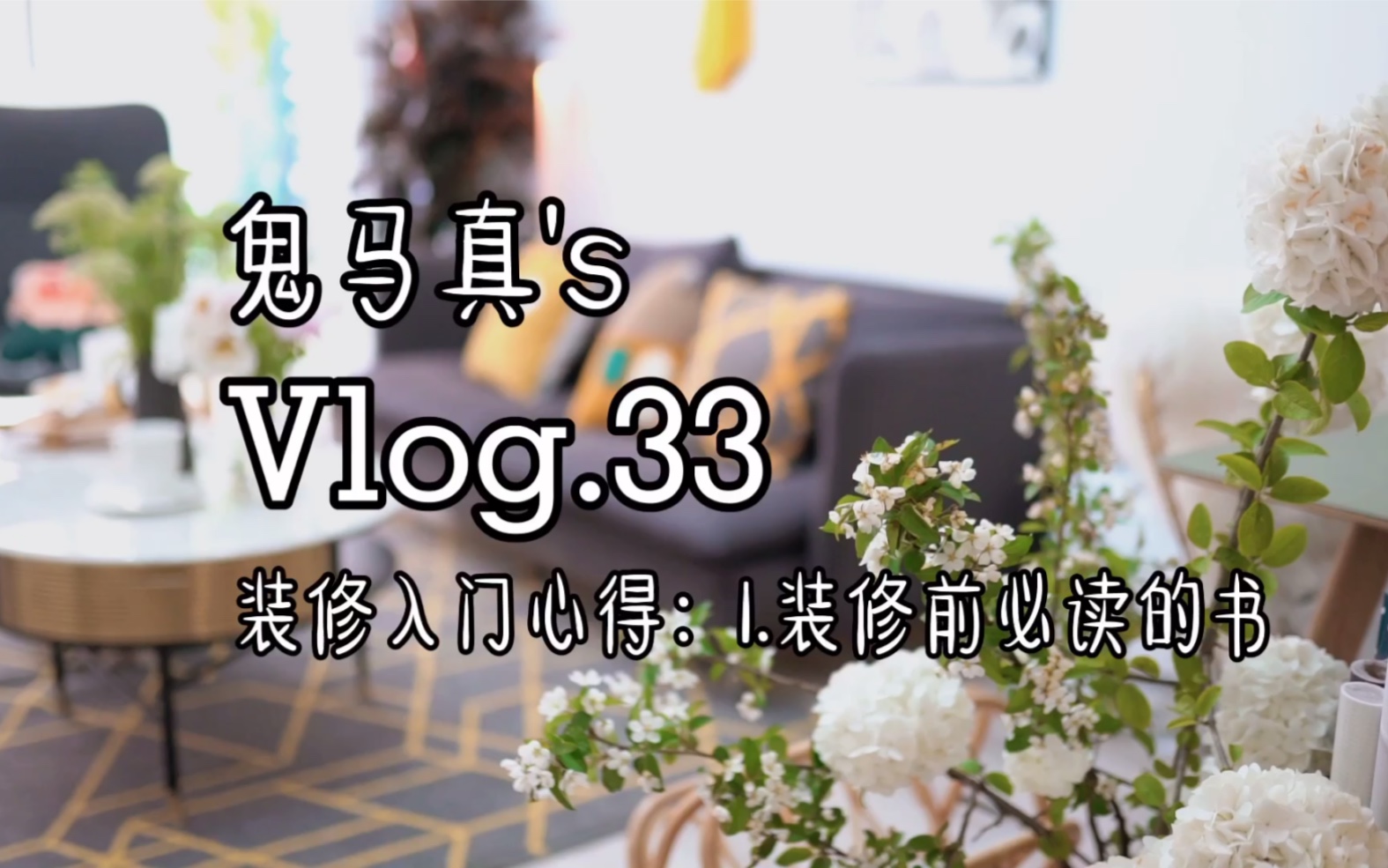 Vlog.33装修小白第一课:装修前必读的书哔哩哔哩bilibili