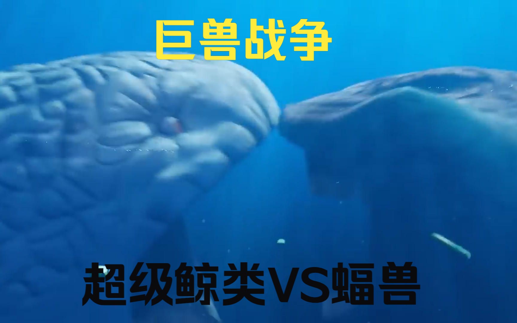 油管热门【中字熟肉】巨兽战争 The Bloop vs El Gran Maj㡥“”哩哔哩bilibili