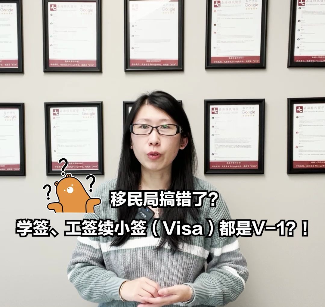 续小签(Visa)统一为V1,有效期跟护照有效期一样!哔哩哔哩bilibili