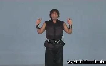 康格罗西师傅..工字伏虎拳教学..Sifu.CANGELOSI哔哩哔哩bilibili