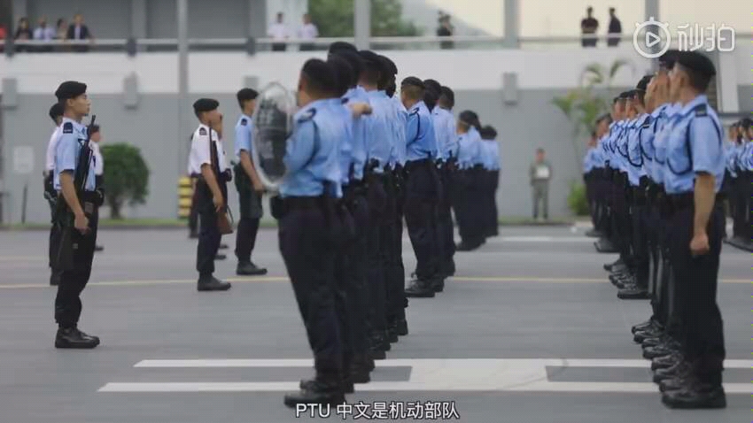 认识警队:机动部队编制篇哔哩哔哩bilibili