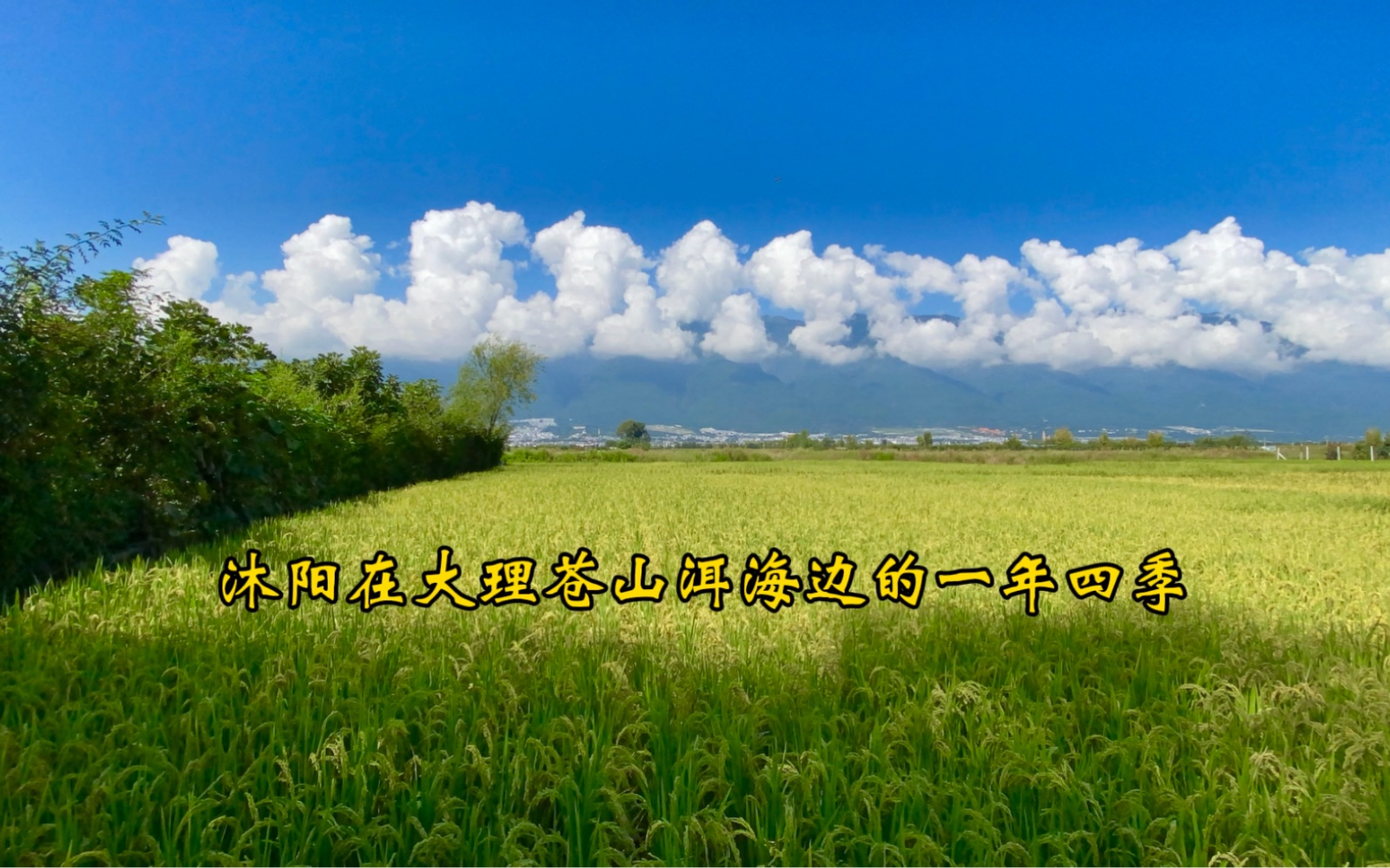 这里不是瑞士 是大理苍山洱海边的一年四季山川湖海田园风光 诗和远方 生活在别处,生活在大理的洱海旁哔哩哔哩bilibili