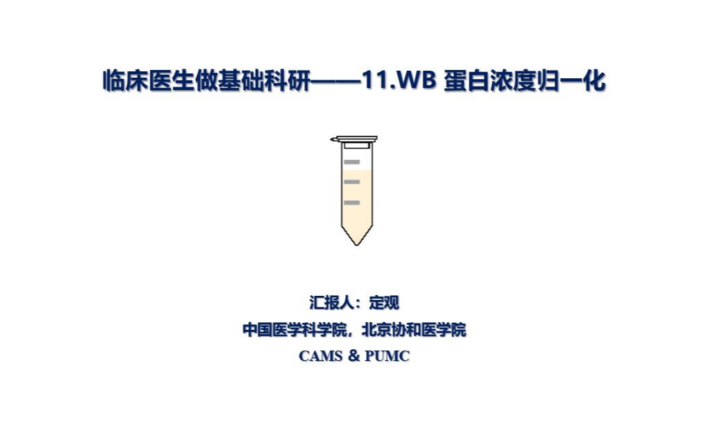 临床医生做基础科研——11.WB 蛋白浓度归一化哔哩哔哩bilibili