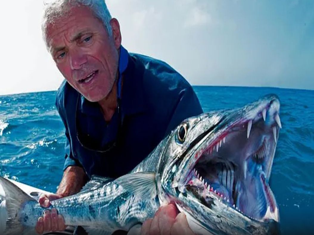 河中巨怪:曾一度被人们误解了几十年的淡水河怪,如今濒临灭绝!