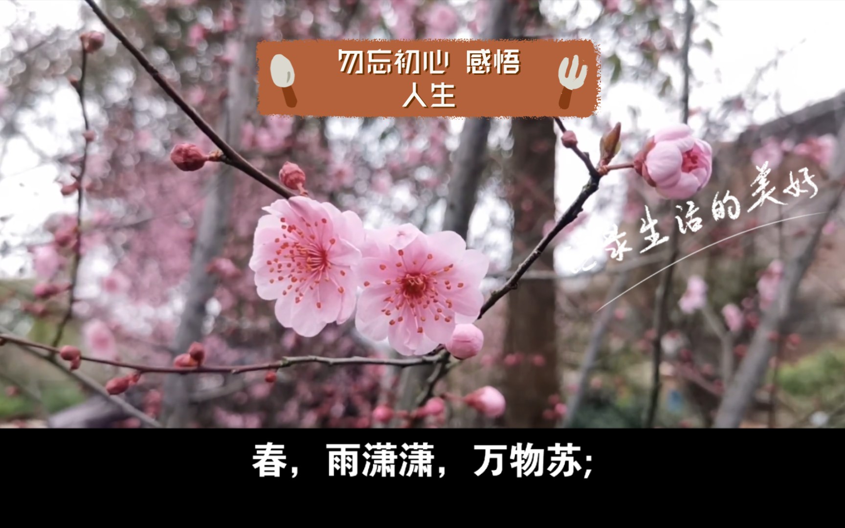 勿忘初心 感悟人生