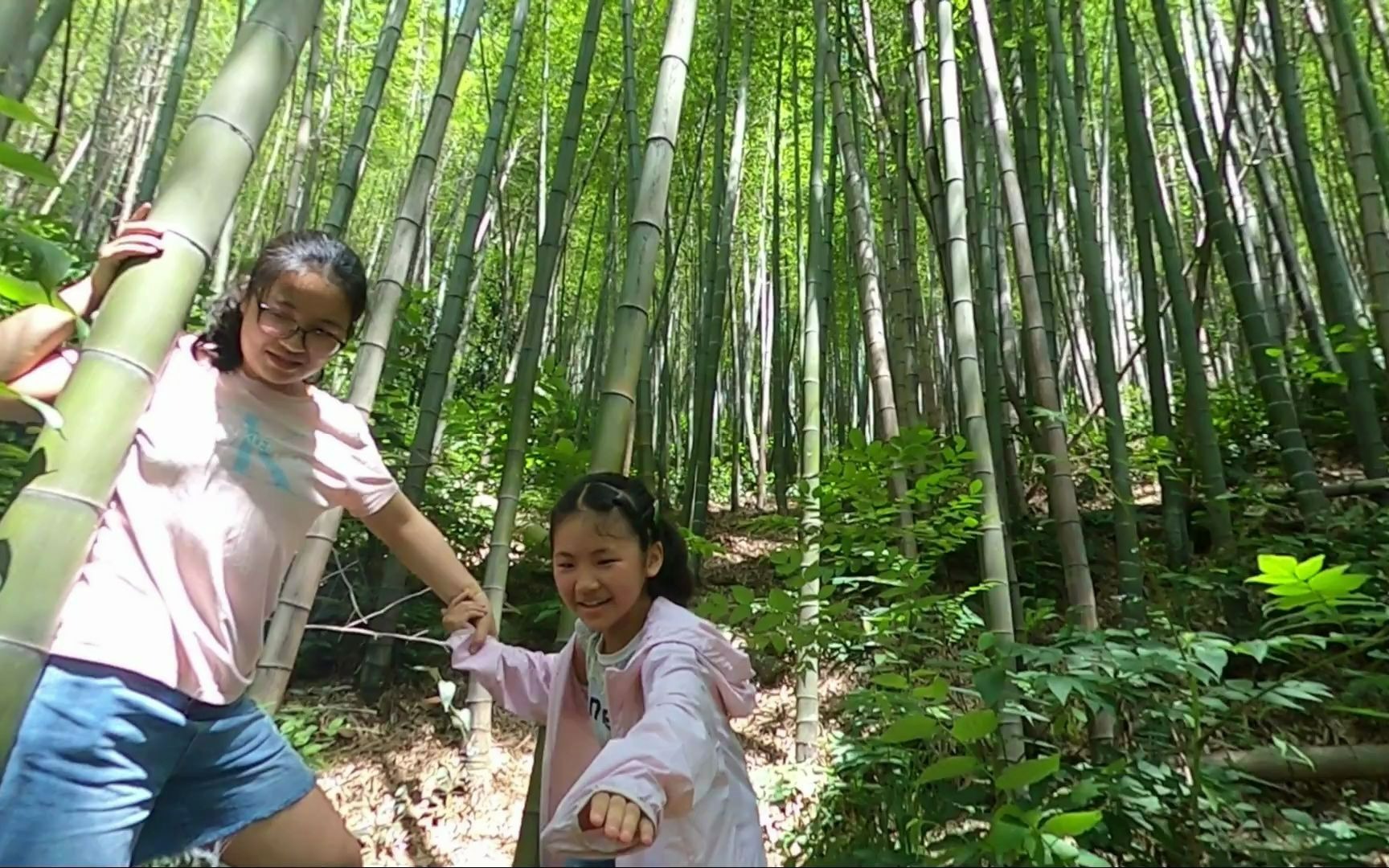 误入龙池山越野徒步路线(二)一家三口加条狗,走了条没路的路哔哩哔哩bilibili