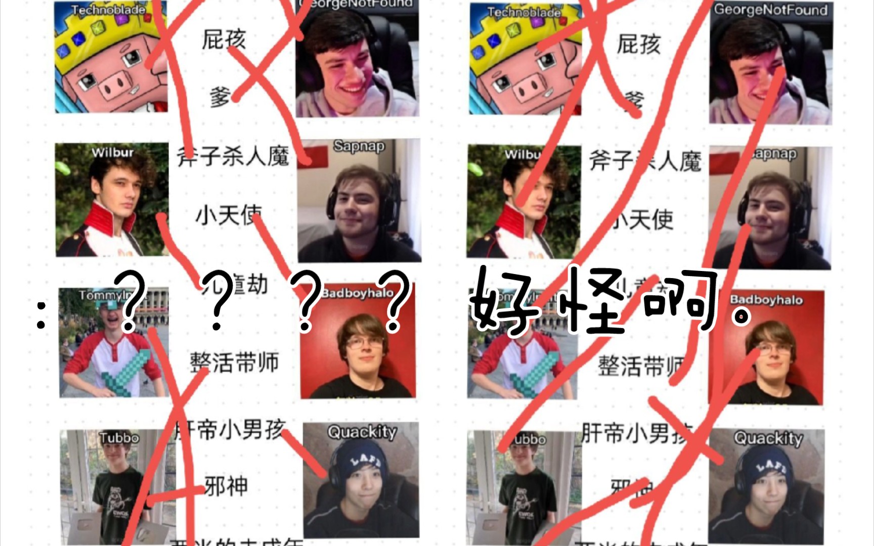 当你叫你没看过dsmp的朋友们来连线