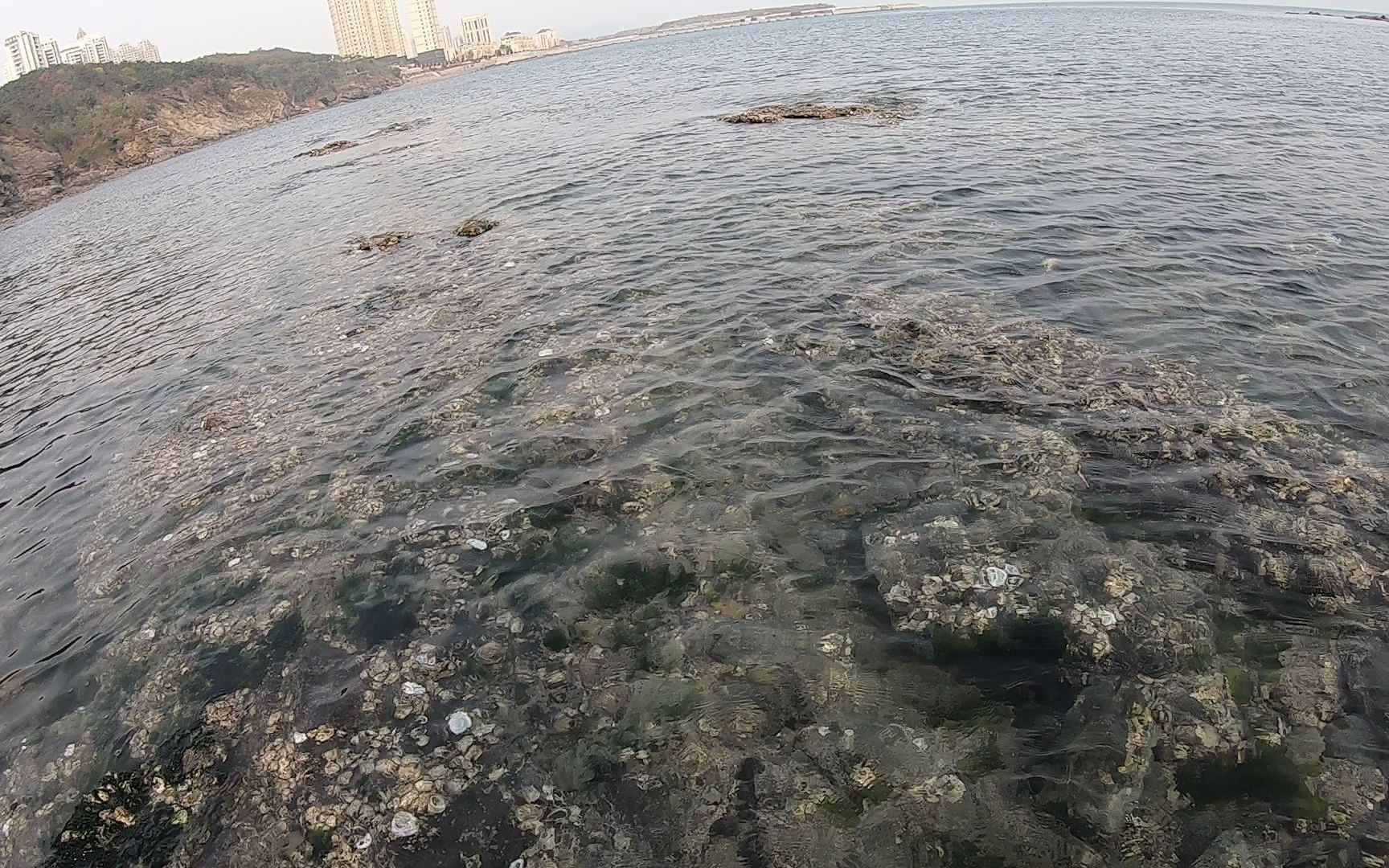 【大连海钓VLOG 006】微物路亚 海水涉水钓 海溪流钓 六线鱼——豆腐坨子日常打卡20201025哔哩哔哩bilibili