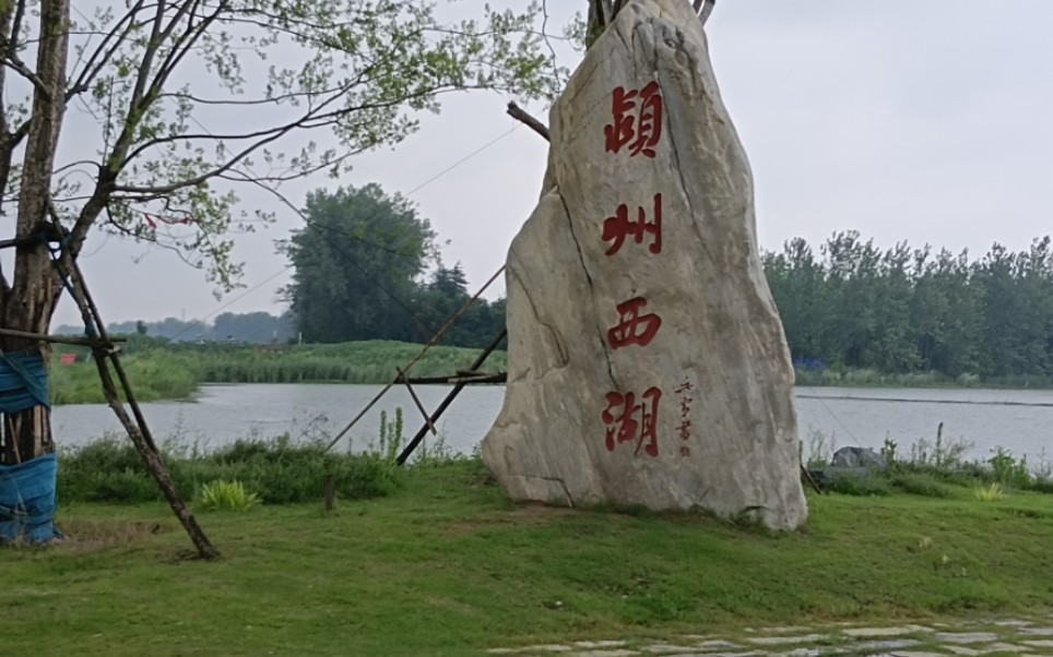 阜阳西湖 风景图片