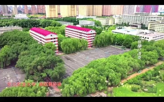 东北农业大学01哔哩哔哩bilibili