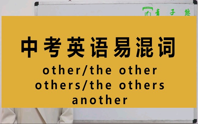 other/the other等相关的短语你知道吗?other/the other/others/the others/another的区别及用法详细讲解.哔哩哔哩bilibili