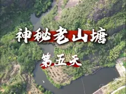 Download Video: 在深山石洞岭老山塘里面布下迷魂阵，一网能上多少鱼？