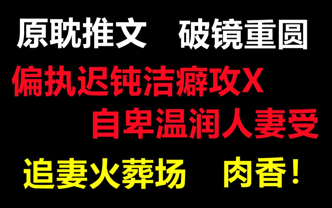 [原耽推文]偏执迟钝洁癖攻X自卑温润人妻受/追妻火葬场/虐恋/破镜重圆/先虐受再虐攻/短篇哔哩哔哩bilibili