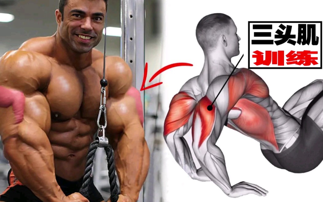 6个三头肌训练动作,帮你有效的锻炼肱三头肌,突破瓶颈_哔哩哔哩_bilibili