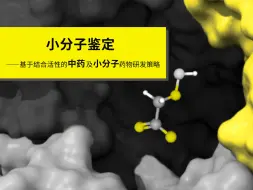 下载视频: 小分子鉴定：实例分析与实验优化技巧