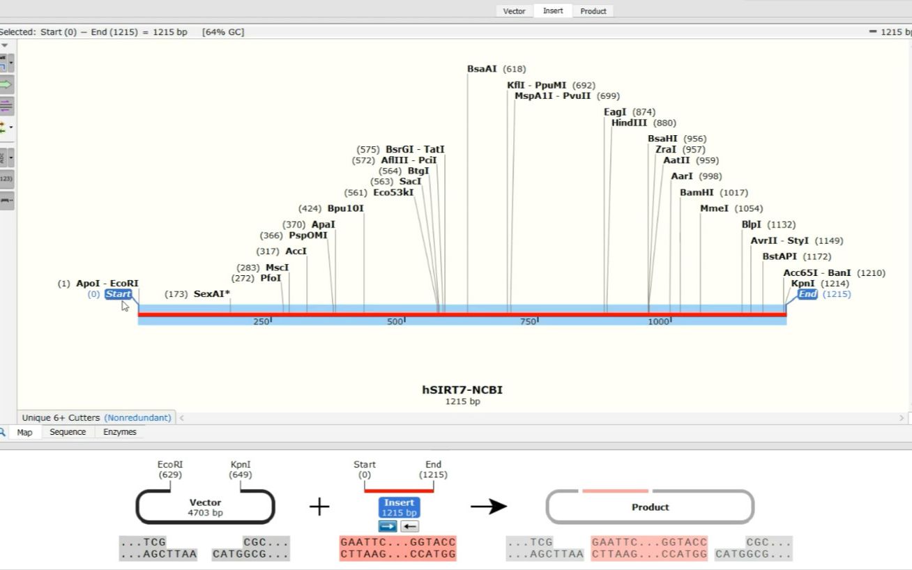 新手教学:从序列检索(NCBI、UCSC)到分子克隆(snapgene)的全程实现哔哩哔哩bilibili