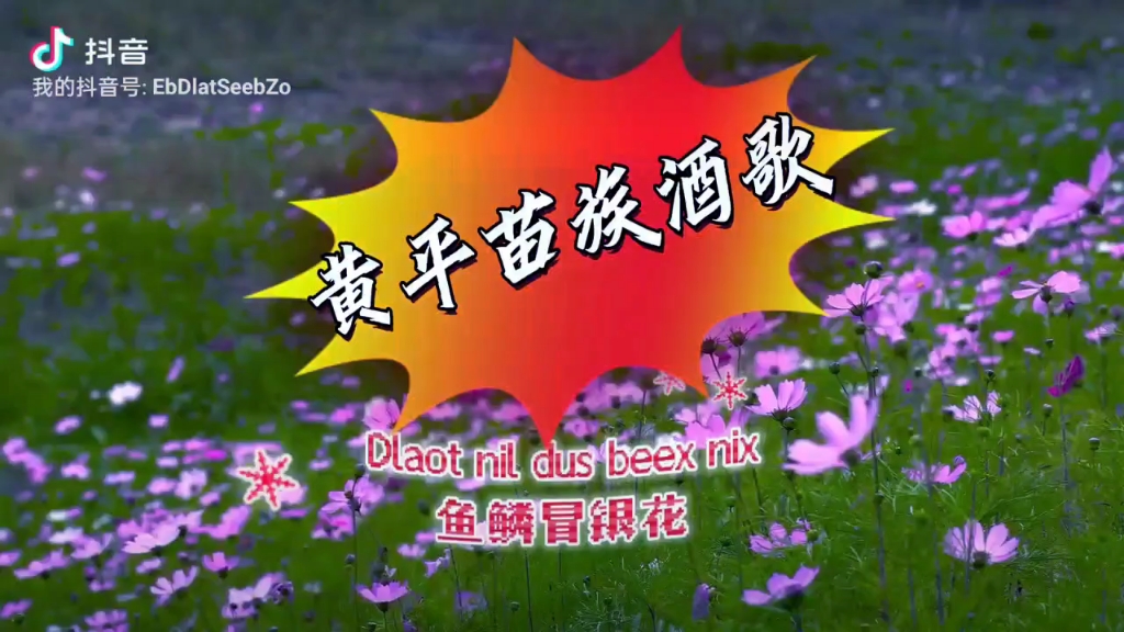 黄平苗族酒歌赞鱼头《鱼嘴尖又尖》