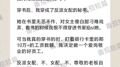 我的老板是反派女配,她自负,她恶毒,可我却舍不得离开她,因为她给的实在太多了!哔哩哔哩bilibili