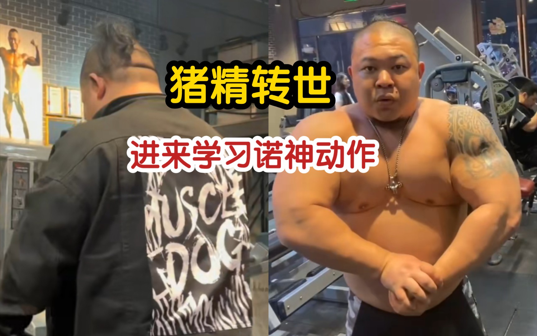 诺式纳米训练,真的赏心悦目啊常熟阿诺