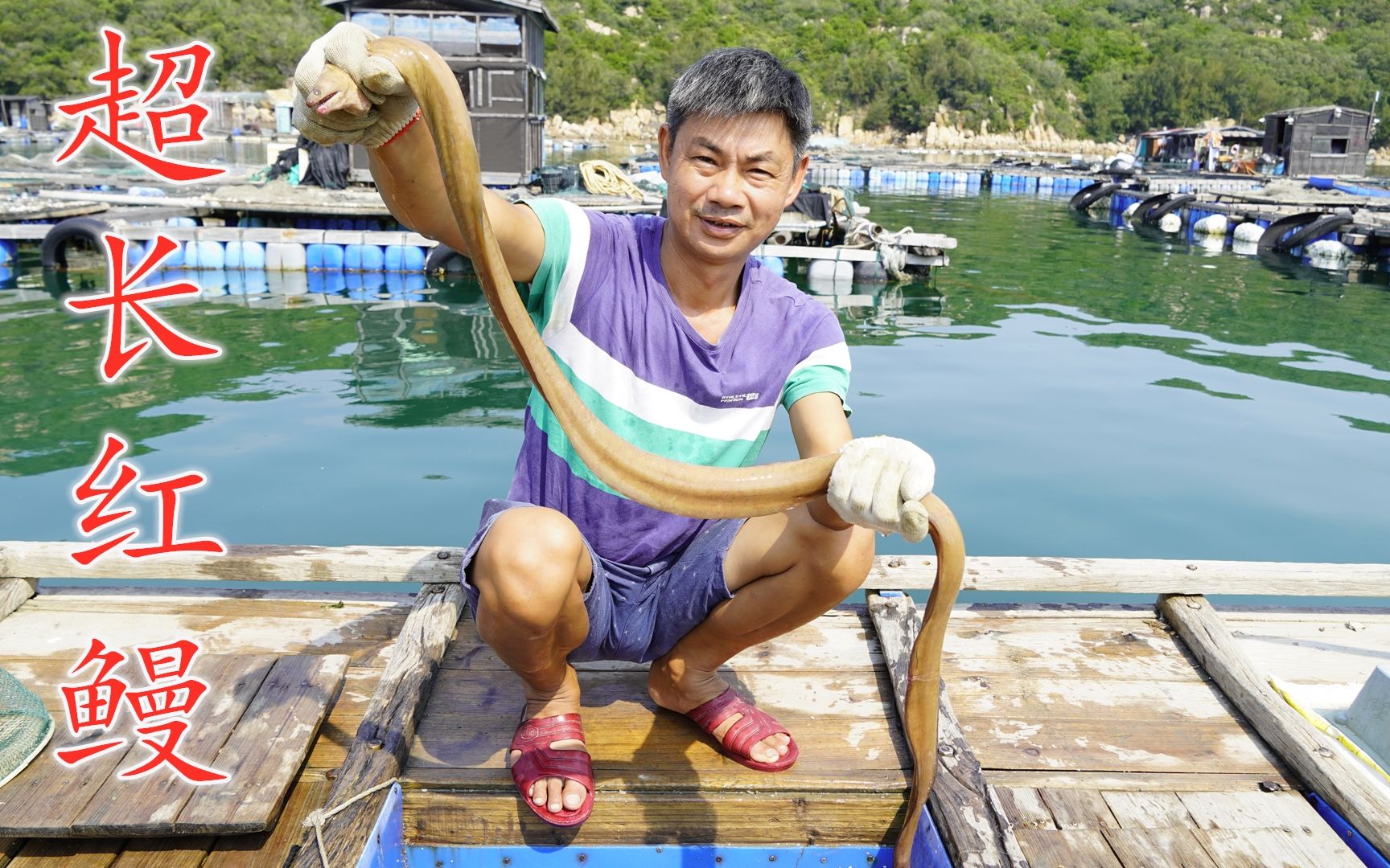 阿兴抓到一条接近两米长的红鳗,回家砂锅焗鳗鱼,看着就食欲大开