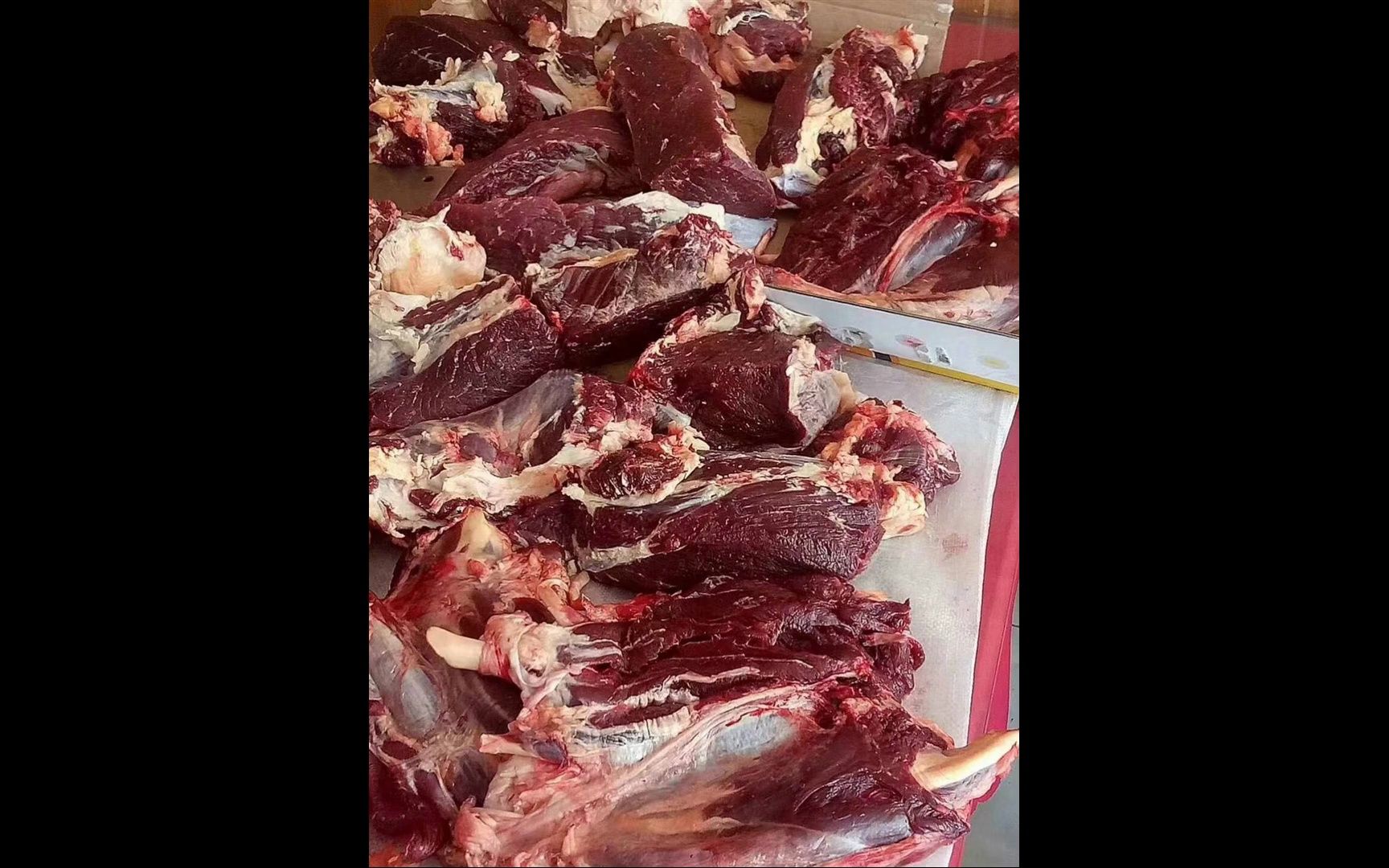 牦牛肉销售批发在哪里有买卖电话(183-2346-7o88)青海牦牛百叶毛肚