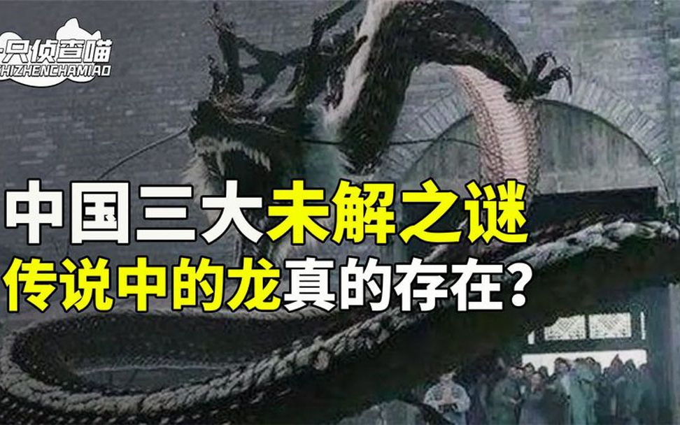 中国三大未解之谜,山东营口“天降龙”事件,河北小伙飞行之谜哔哩哔哩bilibili