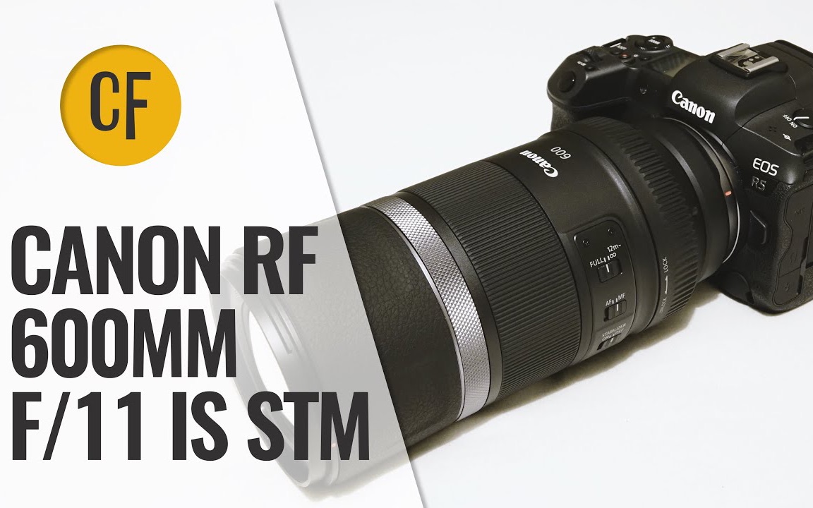 【纯技术评测】佳能超小巧600定|Canon RF 600mm f11 IS STM lens review with samples哔哩哔哩bilibili