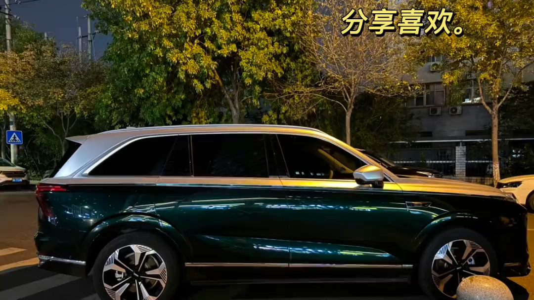 在分享黑白色,绿白色额的双拼色魏牌蓝山后,又一位小伙伴发来的蓝白拼