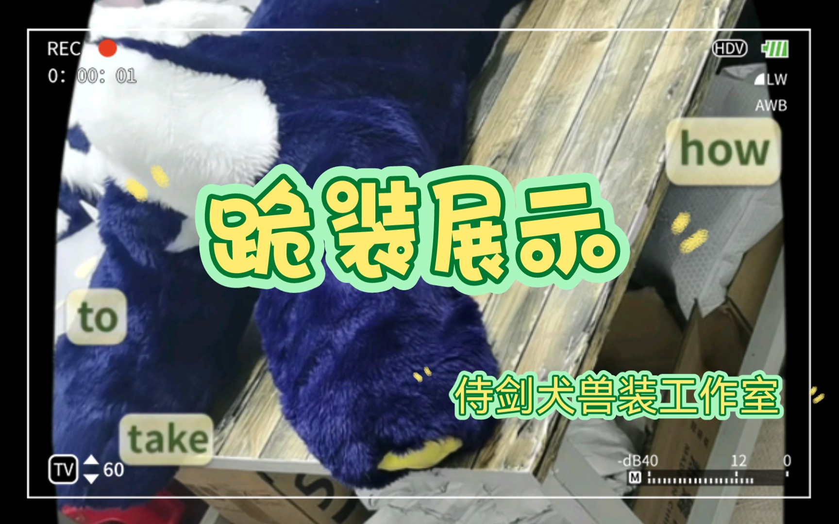 【fursuit展示】跪装委托,小猫龙