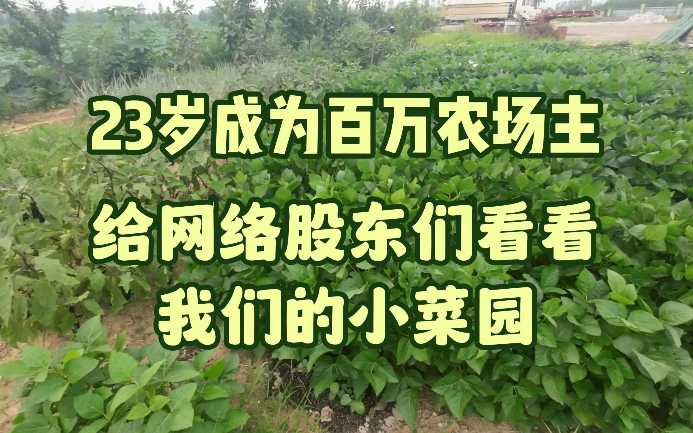 23岁成为百万农场主,给网络股东们看看我们的小菜园.哔哩哔哩bilibili