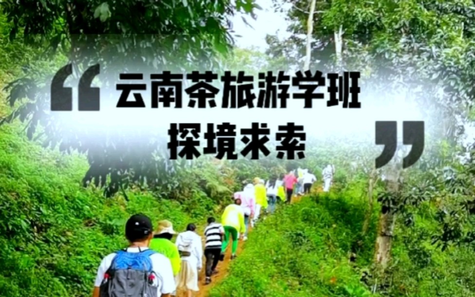 [图]茶旅问道-云南普洱茶茶旅游学班探境求索，从心归璞传承着茶道,亦是传承着人道茶旅问道，读万卷茶书，行万里茶路，喝天下名茶！#普洱茶 #研学旅行 #研学