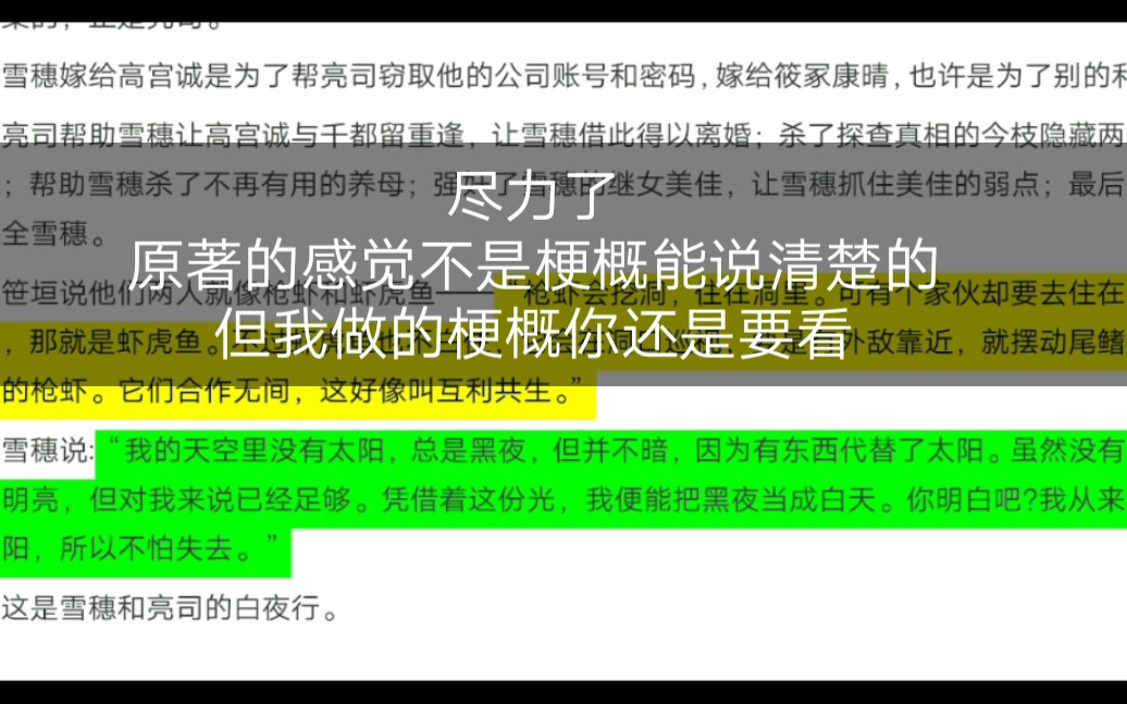 导读‖《白夜行》故事梗概—十五分钟可以说清楚什么?哔哩哔哩bilibili